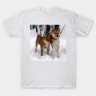 shiba inu group in snow T-Shirt